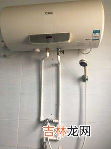 雪种是什么,雪种是什么