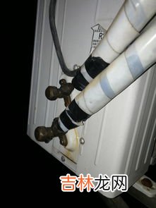 雪种是什么,雪种是什么