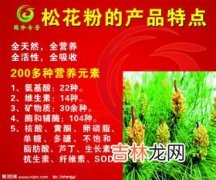 国珍松花粉的价格,国珍破壁松花粉的功效与作用