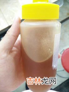 蜂蜜放冰箱一年了还能吃吗,蜂蜜放冰箱里一年了还能吃吗