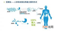 肽能胶原蛋白肽多少钱一盒,胶原蛋白肽国肽价格