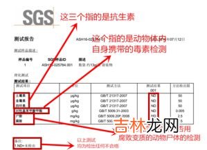 氨基酸属于内环境吗,都什么属于内环境物质？？例如：激素，氨基酸，神经递质，淋巴因子是吗？？