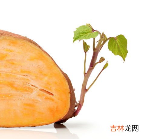 地瓜长芽了削掉还能吃吗,地瓜长芽了削掉还能吃吗