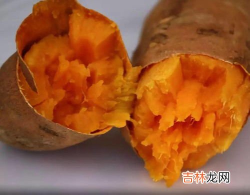 地瓜长芽了削掉还能吃吗,地瓜长芽了削掉还能吃吗