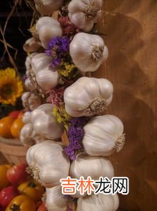 醋泡大蒜美容吗,醋泡大蒜有什么功效