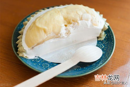 淡奶油是植物奶油还是动物奶油,淡奶油就是动物奶油吗