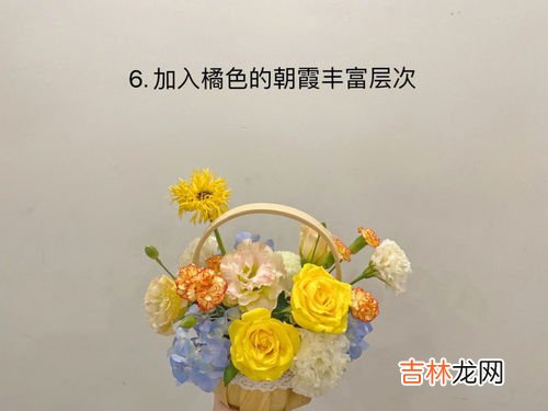 道歉的花语,什么花代表道歉