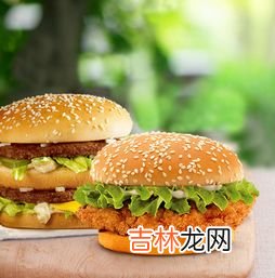 汉堡加盟店10大品牌排行榜,奶茶汉堡加盟店10大品牌