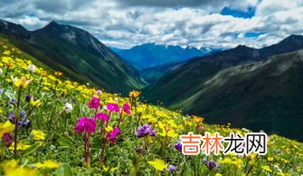海拔4298米是哪个景点,扎多山海拔多少米