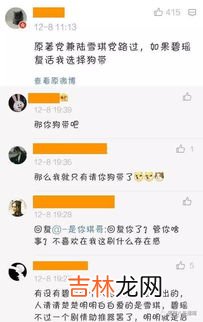 饭圈是什么意思,饭圈是什么意思
