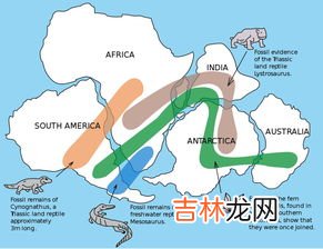 谁提出了大陆漂移说,大陆漂移学说谁提出来的？