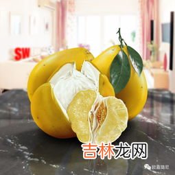 柚子不仅营养丰富,还是名贵药材,柚子简介?