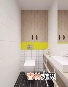 卫生间有异味怎么去除分享清洁小妙招,如何巧妙解决卫生间异味