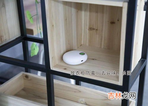 卫生间有异味怎么去除分享清洁小妙招,如何巧妙解决卫生间异味