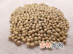 豆粕是什么,豆粕是什么东西