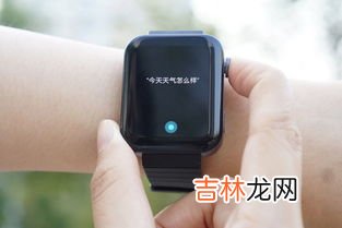 小米智能手表app叫什么,小米手表app叫什么