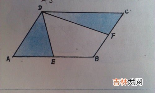 平行四边形有几条高,平行四边形有几条高
