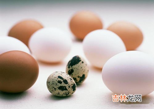 安全蛋和鹌鹑蛋一样吗,鹌鹑蛋和鸡蛋的营养一样吗?