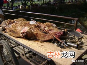 清明时节的经典美食有哪些,清明节吃啥美食 清明节吃什么传统美食
