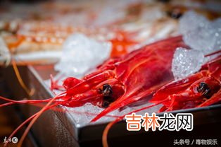 橙子不能和什么一起吃,橙不能和五种食物一起吃是什么