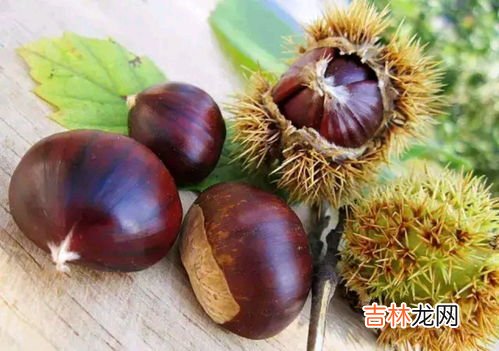 板栗能生吃吗,板栗生吃会拉肚子吗 生吃板栗有什么好处