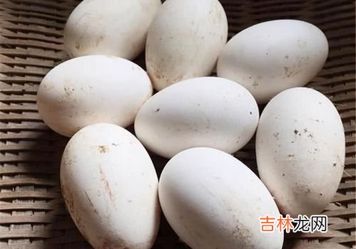 鹅蛋有点臭了还能吃吗,鹅蛋淹好了黄是黑的尔且还有点臭能吃吗