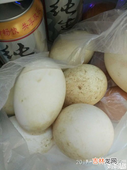 鹅蛋有点臭了还能吃吗,鹅蛋淹好了黄是黑的尔且还有点臭能吃吗