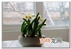 树叶碧绿碧绿的是什么季节,四季四年级作文