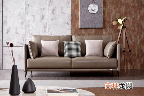 沙发是什么意思,沙发是什么意思