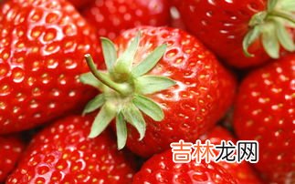 草莓什么时候种,草莓什么时候种合适?怎样种?