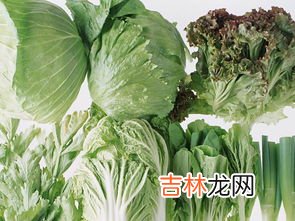 绿色食品有哪些,绿色食品包括哪些