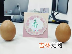 为什么选择春分立鸡蛋,为什么春分时鸡蛋能立起来？