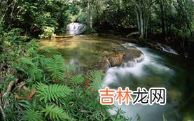 巴西属于哪个洲,巴西是什么国家