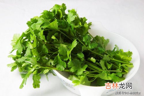 香菜根能吃吗,香菜属于发物类吗 香菜根可以吃吗