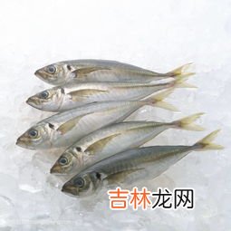 鱼能放冰箱冷藏多久,鱼可以放冰箱保鲜几天