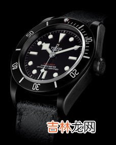 帝舵跟浪琴哪个更好更有档次,手表浪琴品牌排第几