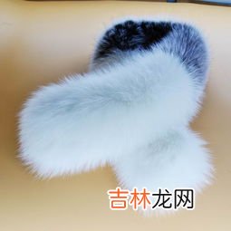 狐狸毛和貉子毛区别,狐狸毛与貉子毛区别