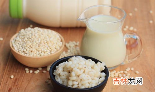 豆浆煮大米的功效与作用,大米能和黄豆一起打浆煮吗？