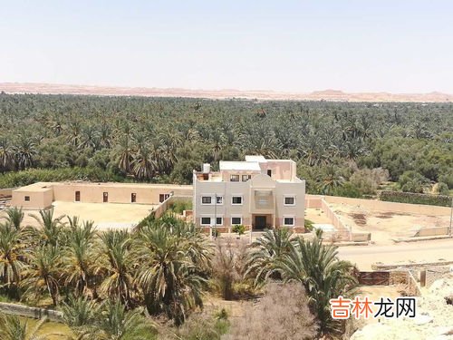 埃及属于哪个洲,埃及属于哪个洲?