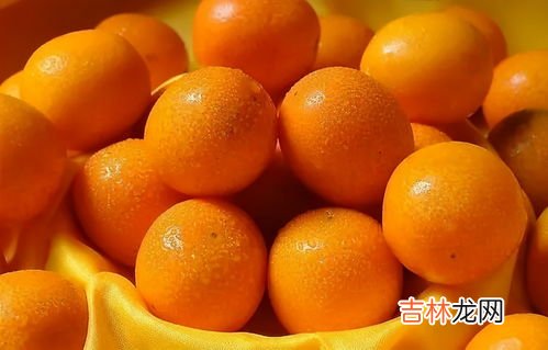 金桔膏可以放多久,小金桔的保存方法 小金桔怎么熬制治咳嗽