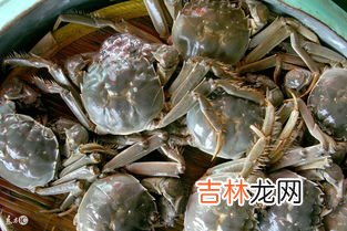 大闸蟹里面的白色胶状是什么东西,大闸蟹里面的黑色能吃吗 大闸蟹里面白色的黏黏的是什么