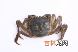 大闸蟹里面的白色胶状是什么东西,大闸蟹里面的黑色能吃吗 大闸蟹里面白色的黏黏的是什么