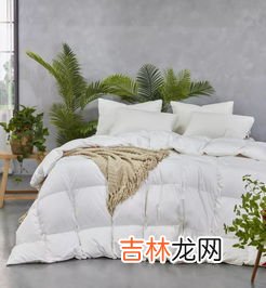鹅绒跟鸭绒有什么区别,鹅绒和鸭绒区别