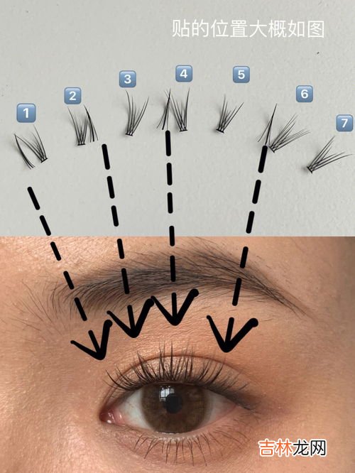 钓系是什么意思,段嘉许是钓系吗