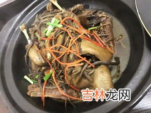 鹅营养价值及功效作用,鹅的营养价值及功效与作用 鹅的营养价值及功效与作用是什么