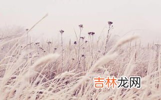 什么是霜降,霜降代表什么意思