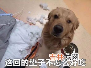 鼻子闻到臭味应该怎么办,鼻子总感觉闻到异味是怎么回事