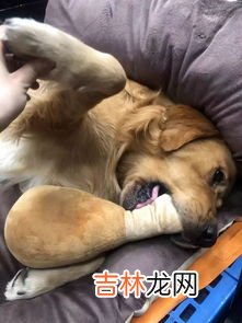 鼻子闻到臭味应该怎么办,鼻子总感觉闻到异味是怎么回事