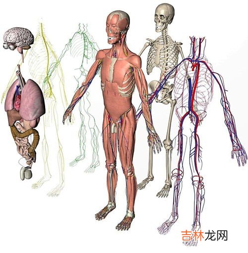 为什么科学家都用小白鼠做实验,科学家喜欢拿小白鼠做实验，这是为什么？