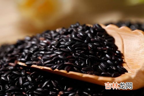 玉米胚芽粉能减肥吗,玉米胚芽粉固体饮料一天喝几袋